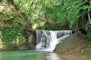 日本で唯一新幹線が止まる村!美しい水と自然あふれる福島県西郷村でのびのび子育て