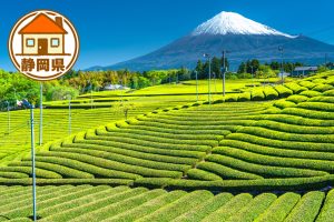 静岡県の移住情報まとめ 子育て世代に有益な制度や補助金、市町村別サイトの紹介など