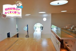 横須賀美術館(神奈川県・横須賀市)は、周囲の環境に溶け込む建築デザインに注目!