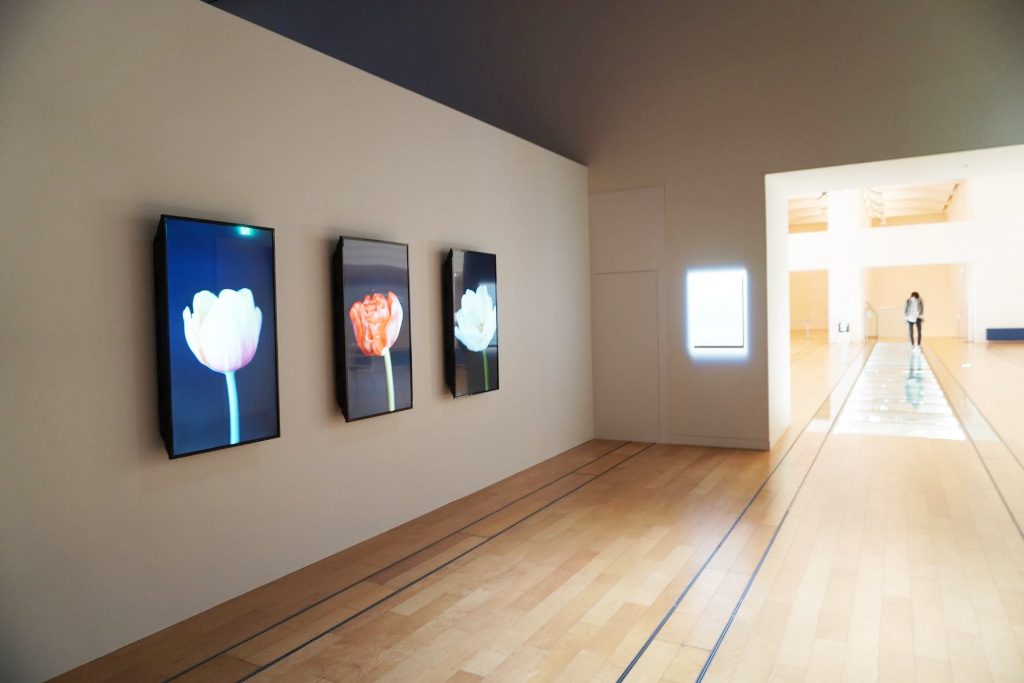 アンナ・リドラー《モザイク・ウイルス》 2019年/NTTインターコミュニケーション・センター [ICC]（東京都/新宿区）