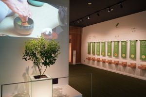 「茶づな」のミュージアムと体験プログラムで京都・宇治について楽しく学ぼう