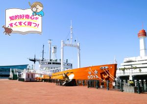 船の科学館(東京都・品川区)で初代南極観測船“宗谷”と海と船の文化を知る