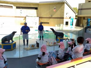 参加・体験型の宮島水族館に子どもも大人も夢中！スナメリやアシカがかわいい