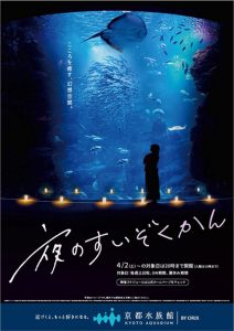 京都水族館で開催中!「夜のすいぞくかん」はいきものの夜の様子を観察できる