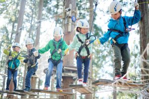 北陸のアスレチック13選!空中コースや大型遊具が無料の公園も(富山・石川・福井)