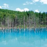 ご当地自慢の海鮮グルメや絶景に大満足！北海道の道の駅おすすめ8選