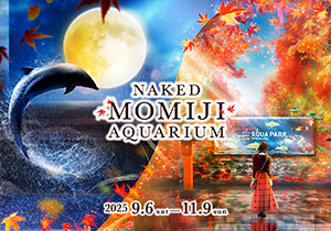NAKED MOMIJI AQUARIUM（東京都／港区）