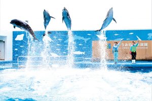仙台うみの杜水族館（宮城県）は東北最大級の海の生き物いっぱいアクアワールド
