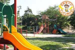 樫ノ木公園（豊中市）はカラフルな遊具と松ぼっくり拾いが楽しい毎日通いたくなる公園