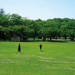 いろんな楽しみが満載！37万㎡の広々パーク八戸公園（青森県）で遊ぼう！