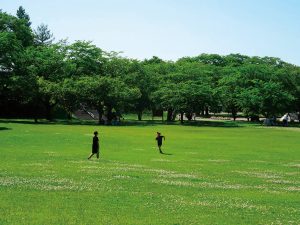 いろんな楽しみが満載!37万㎡の広々パーク八戸公園(青森県)で遊ぼう!