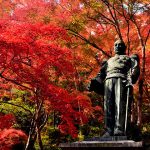 埼玉県で紅葉がきれいな公園・庭園など5選（11月～12月上旬）子どもの遊び場も！