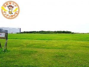 兵庫県立尼崎の森中央緑地（尼崎市）の芝生広場は、県内最大級の広さ！遊具やむかし遊びも堪能