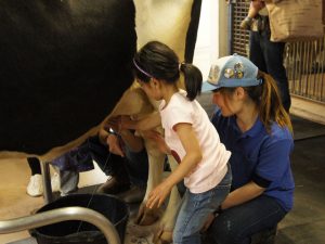 神奈川県の無料スポット・遊び場23選!動物園や植物園、交通公園など