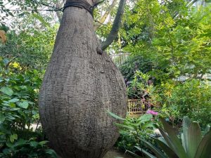 山口県の無料スポット・遊び場4選！秋吉台・秋芳洞がよくわかる博物館など