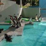 和歌山県のおすすめ無料スポット4選！動物園や博物館、梅干の工場見学など