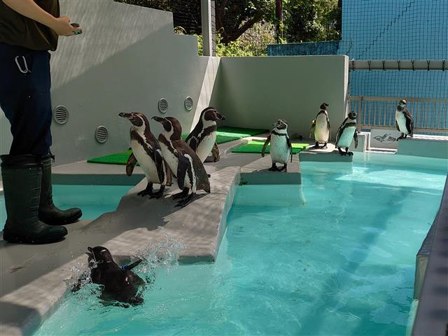和歌山城公園動物園/和歌山市