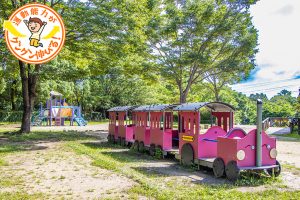 大阪府民の森 むろいけ園地 森の宝島（四条畷市）では、多彩なエリアで楽しみながら冒険気分！