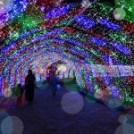 九州・沖縄のイルミネーション19選（2024-2025）遊園地や無料の公園など子連れにおすすめ
