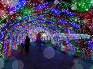 九州・沖縄のイルミネーション19選(2024-2025)遊園地や無料の公園など子連れにおすすめ