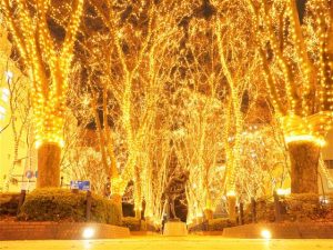 東北のイルミネーション14選(2024-2025)入園無料の公園など子連れにおすすめ