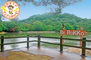 再度公園（神戸市北区）は、自然いっぱいの都市公園　森の運動場で遊ぼう！