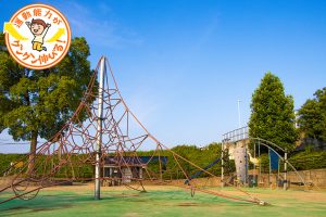 大きなザイルクライミングが人気の笠井公園（京都市南区）は癒しのスポット