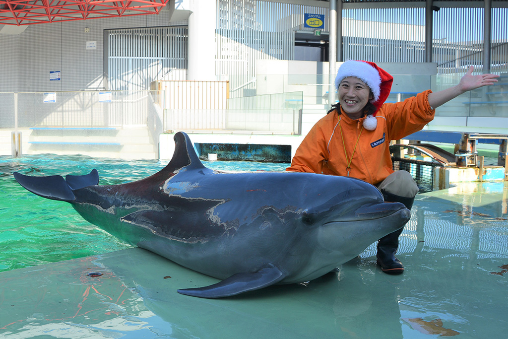 クリスマスイルカショー/しながわ水族館(東京都/品川区)