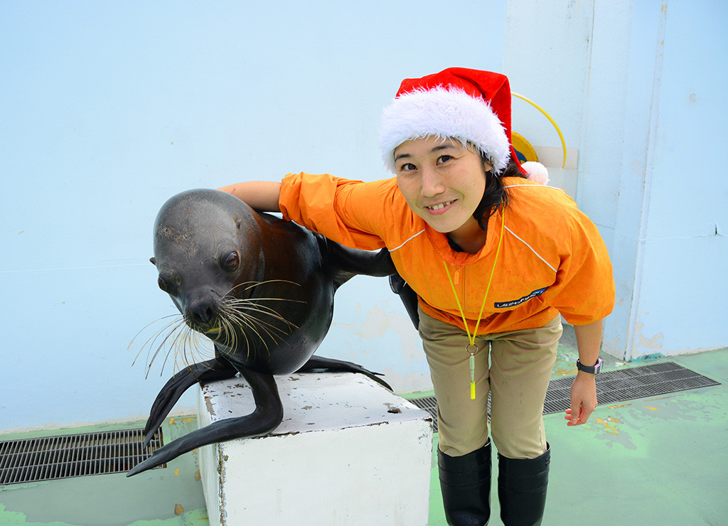 クリスマスアシカショー/しながわ水族館(東京都/品川区)