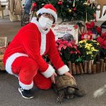 板橋区立熱帯環境植物館のクリスマスは、トワイライトジャングル探検プログラムが楽しい