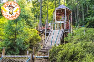 アクトパル宇治（宇治市）は大自然を生かした大型遊具が魅力！アグレッシブに楽しもう♪