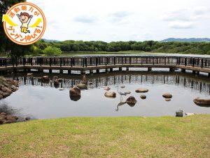 伊丹市最大の広さ！ 野鳥＆昆虫観察も楽しい昆陽池公園（伊丹市）
