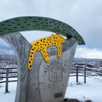 旭山動物園の冬の見どころ・イベントは？ペンギンの散歩や雪の似合う動物9選など