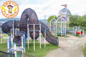 田辺公園(京田辺市)では、遊びごたえ抜群の大型遊具でダイナミックに遊ぼう!