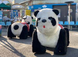 下町の遊園地「浅草花やしき」を子ども連れで楽しむ!年齢別おすすめアトラクションも