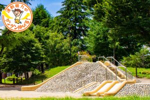 二条城のお膝元にある二条公園（京都市上京区）は、昆虫観察も楽しめる公園