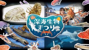 深海生物を五感で体感!横浜・八景島シーパラダイスで「深海生物まつり」開催中