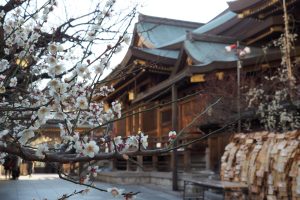 湯島天満宮(湯島天神)で学業成就!お守り・アクセス・梅まつり(2・3月)も紹介