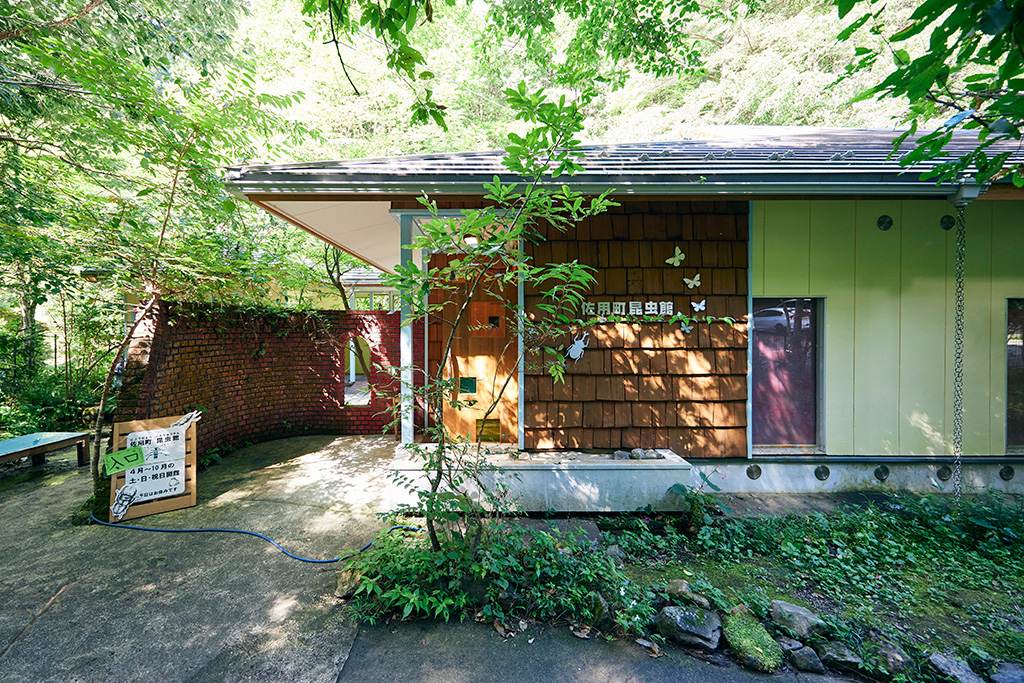 自然に囲まれた山間に佇む町の人気スポット/佐用町昆虫館（兵庫県/佐用町）