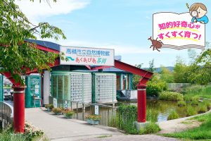 高槻市自然博物館 あくあぴあ芥川(大阪府)は、赤ちゃんから大人まで、五感で楽しめる工夫がいっぱい!