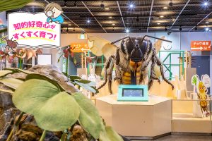 伊丹市昆虫館(兵庫県)には巨大なミツバチの模型!関西最大級のチョウ温室も必見
