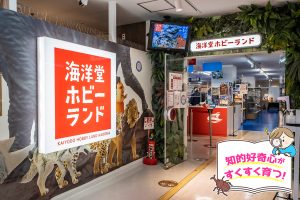海洋堂ホビーランド(大阪府)は、1万点以上の立体作品が語りかけるフィギュアのワンダーランド!