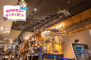丹波竜化石工房「ちーたんの館」(兵庫県)は本物の恐竜の化石が発見された地に立つミュージアム