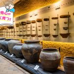 兵庫県立考古博物館（兵庫県）で考古学の深淵な世界にハマる！