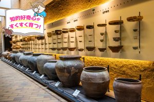 兵庫県立考古博物館(兵庫県)で考古学の深淵な世界にハマる!