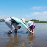まなびファーム（九十九里）で子どもと田植え体験！野菜収穫や川の生き物観察も！