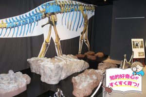 兵庫県立人と自然の博物館(兵庫県)は大迫力の化石や子ども向けワークショップが豊富