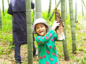 千葉・木更津でタケノコ掘り!野菜収穫体験とBBQが1年中できる空と大地の丘 森本農園