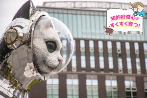 大阪中之島美術館(大阪府)は展示以外にもみどころ満載!アートで子どもの感性を刺激しよう