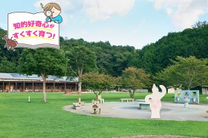 篠山チルドレンズミュージアム(兵庫県)は自然のなかで、たっぷり遊べる子どものためのミュージアム